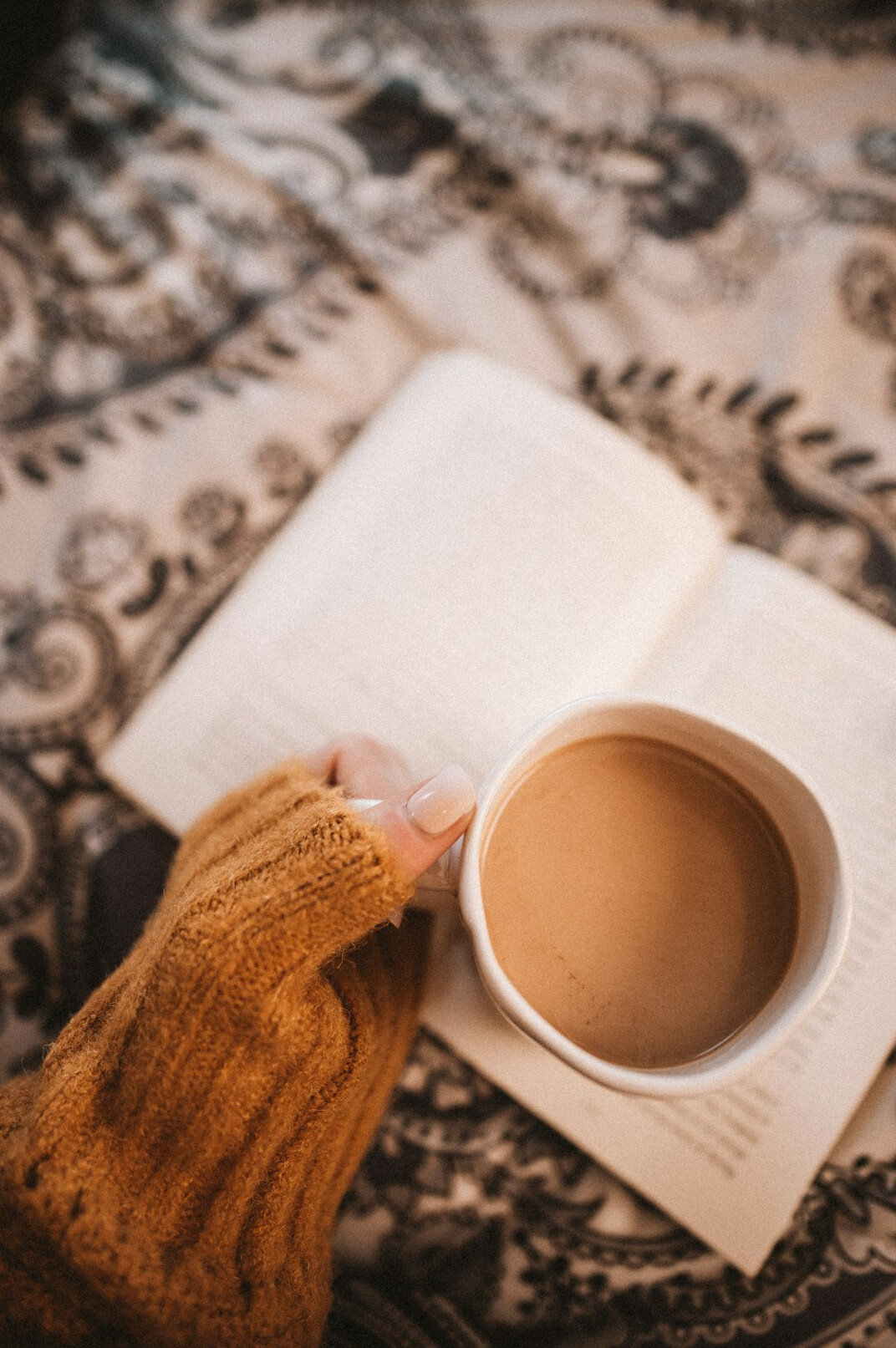 person reading book at home